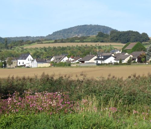 07092025ThuererWiesen-035