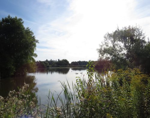 07092025ThuererWiesen-036