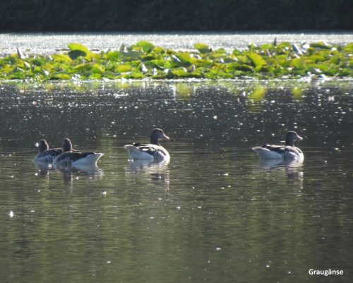 07092025ThuererWiesen-038