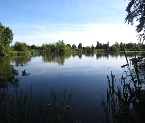 07092025ThuererWiesen-040