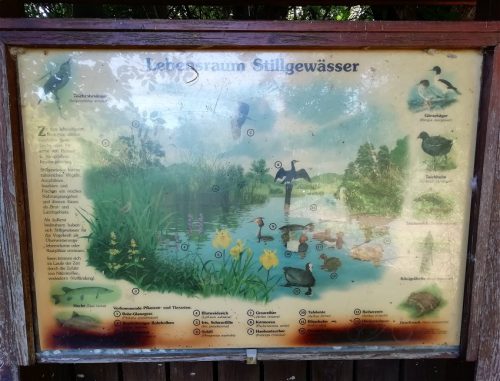 07092025ThuererWiesen-044