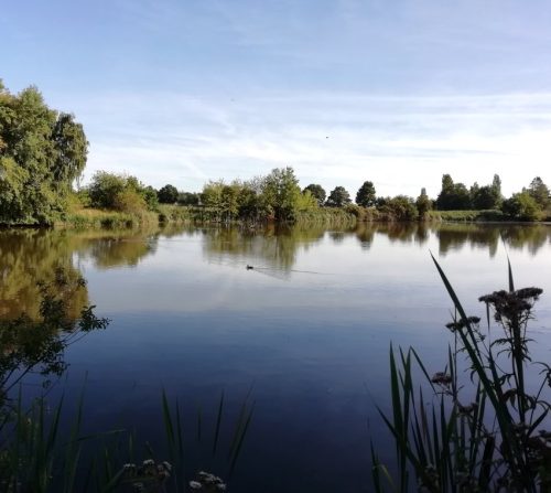 07092025ThuererWiesen-045