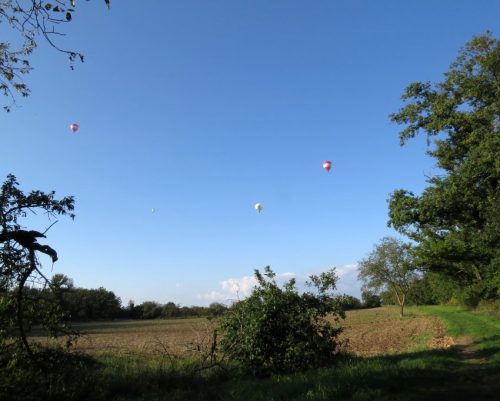 28092025HerbstgluehenKO-033