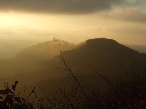 BurgruineDrachenfels010-2008