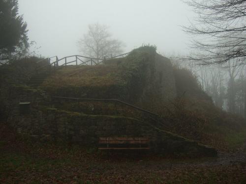 BurgruineRosenau003-2008