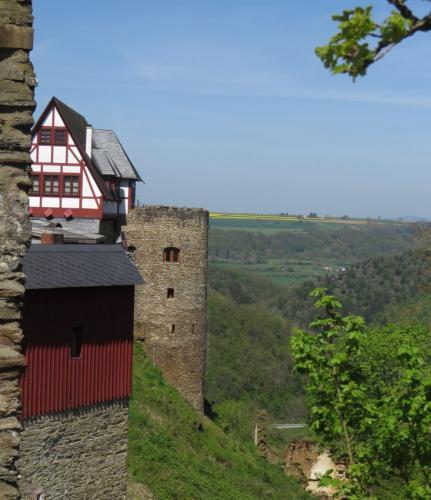 BurgEhrenburg2023-010