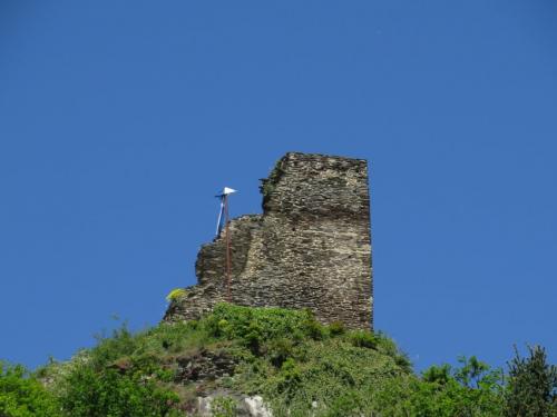 RuineStahlenberg002-2018