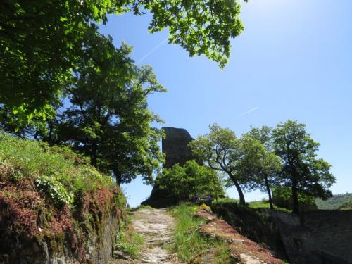 RuineStahlenberg011-2018