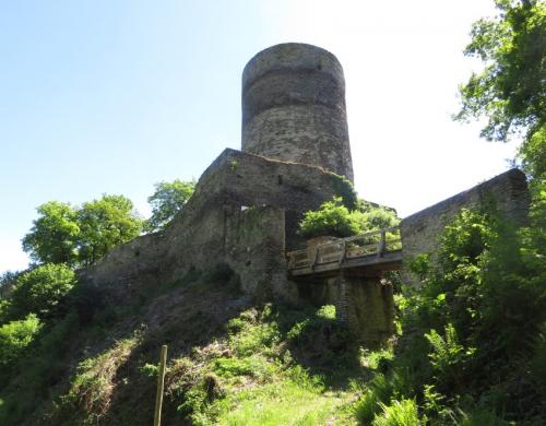 RuineStahlenberg028-2018