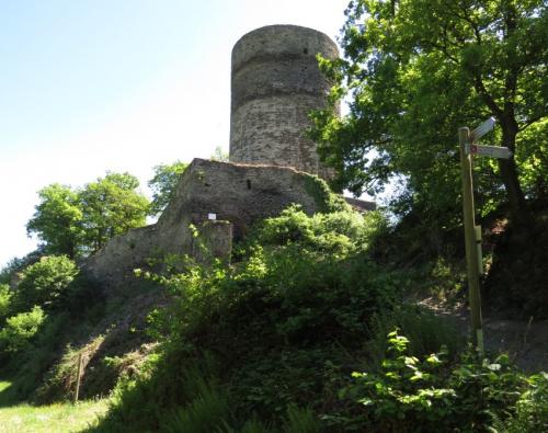 RuineStahlenberg029-2018