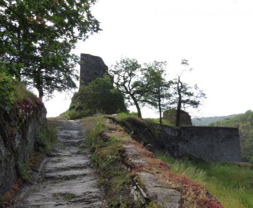 RuineStahlenberg2023-010