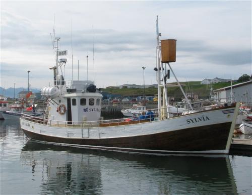 Others-Whale-watching-IcelandGentle-Giants-Sylvia