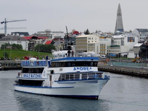 Others-Whale-watching-IcelandSpecial-Tours-Andrea