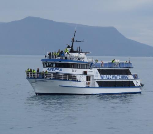 Others-Whale-watching-IcelandSpecial-Tours-Andrea02