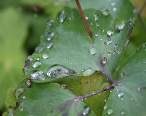 Waterdrops023