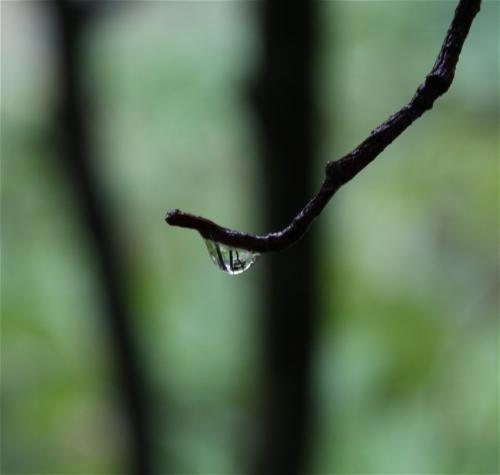 Waterdrops024