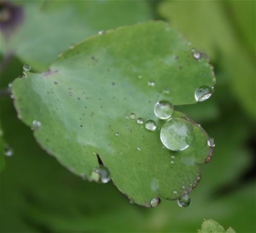 Waterdrops030