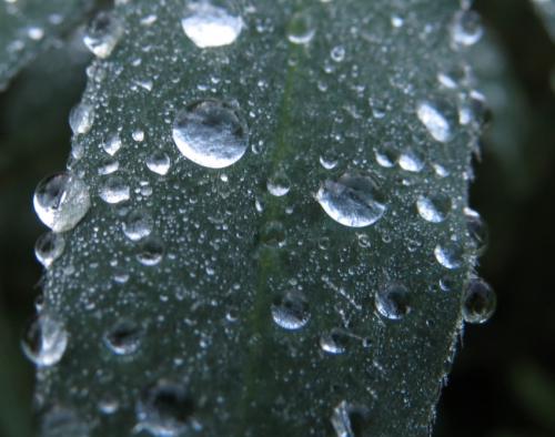 Waterdrops055