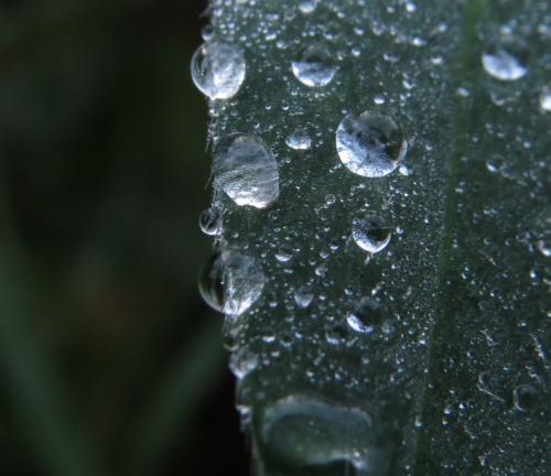 Waterdrops056