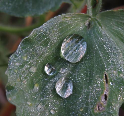 Waterdrops070