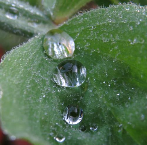 Waterdrops073