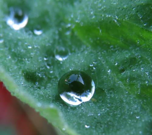 Waterdrops074