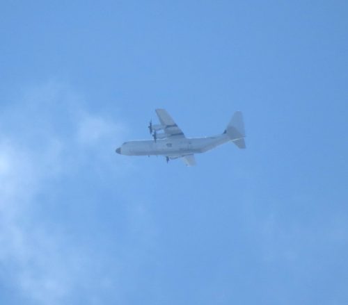 PallasAviation01