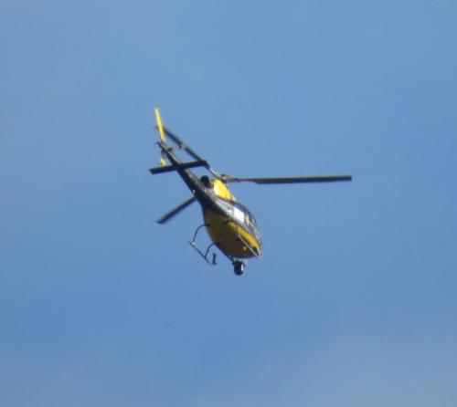 D-HCLA-Private-01