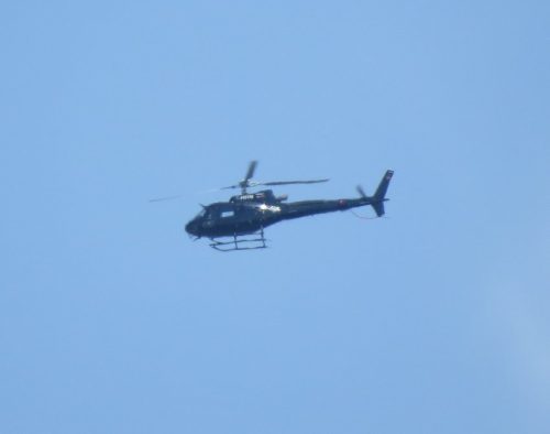 D-HSVN-Private-01