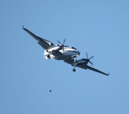 SmallAircraft-D-CROW-01
