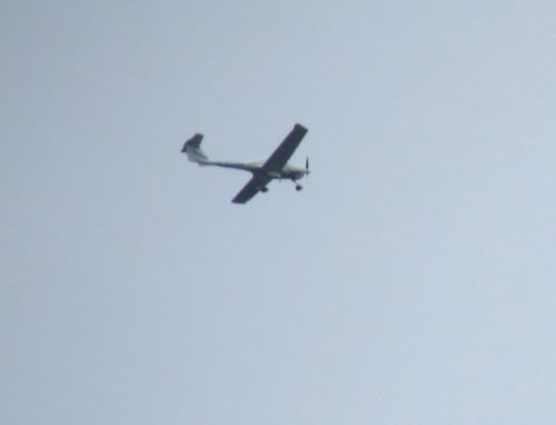 SmallAircraft-D-EDAM-01