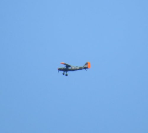 SmallAircraft-D-EEPN-01