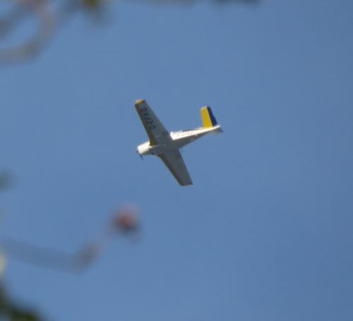 SmallAircraft-D-EFKG-02
