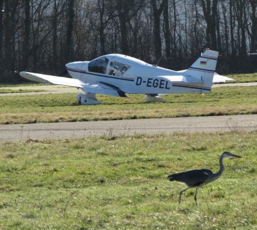 SmallAircraft-D-EGEL-03