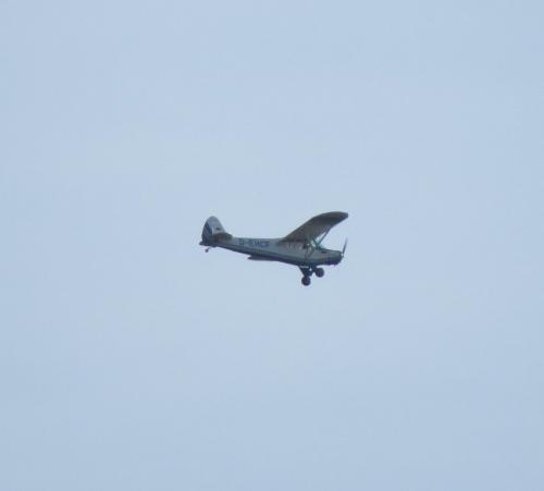 SmallAircraft-D-EHCF-01