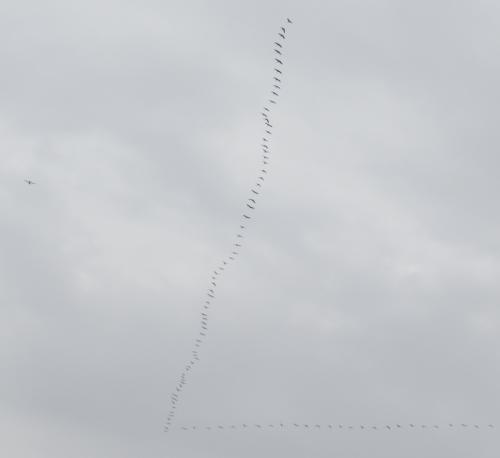 SmallAircraft-D-EJHL-02
