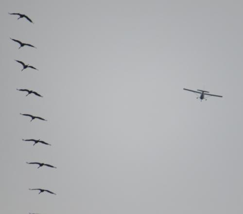 SmallAircraft-D-EJHL-03