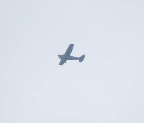 SmallAircraft-D-EKKD-01