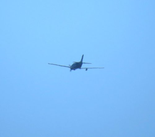 SmallAircraft-D-EMII-01