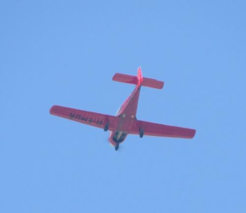SmallAircraft-D-EMUR-02