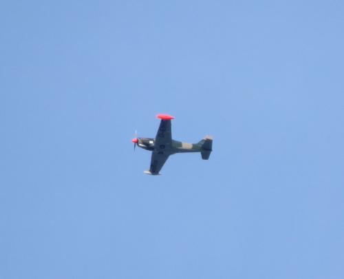 SmallAircraft-D-ENIC-02