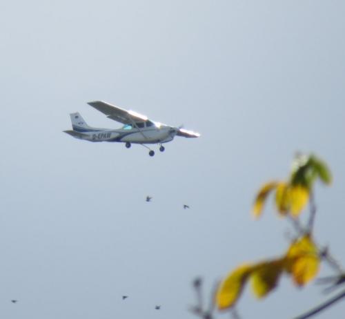 SmallAircraft-D-EPAW-01