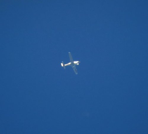 SmallAircraft-D-EPCG-01