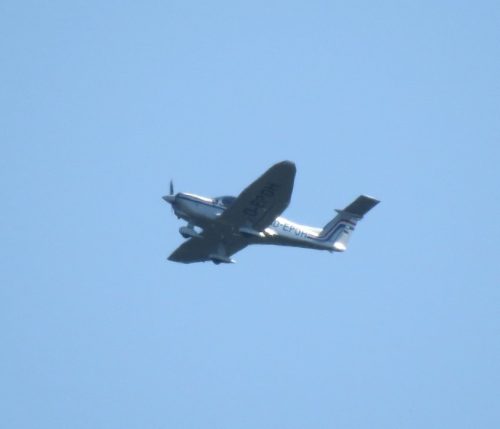 SmallAircraft-D-EPOH-01