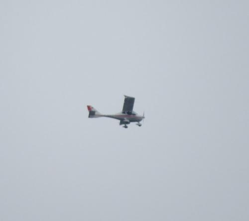 SmallAircraft-D-EREG-03