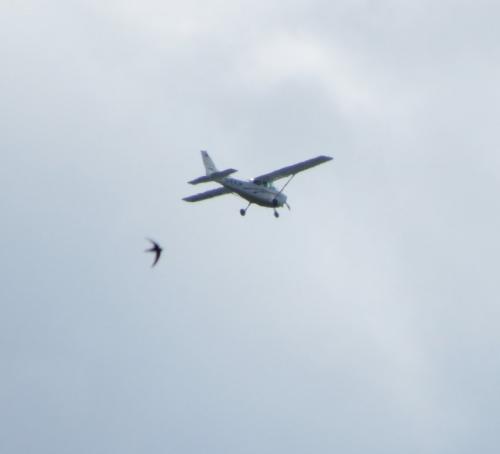 SmallAircraft-D-ERJP-02