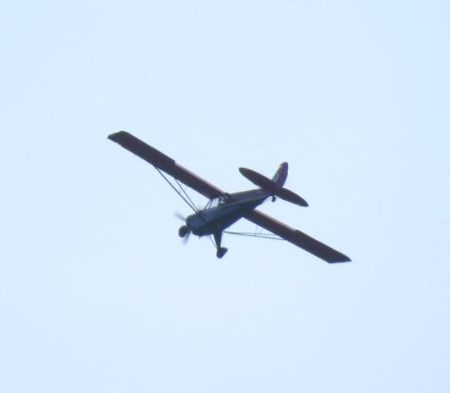 SmallAircraft-D-ETSY-06