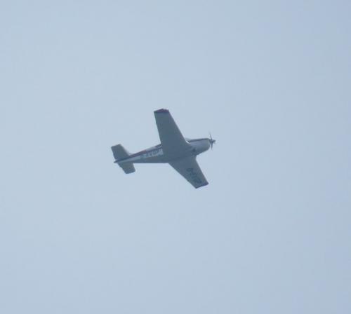 SmallAircraft-D-EVGP-02