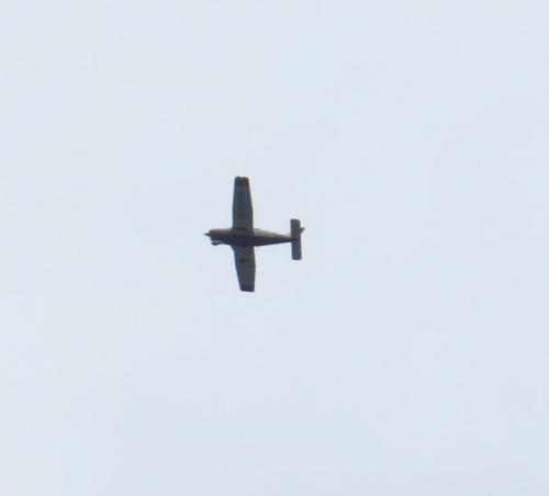 SmallAircraft-D-EVTA-01