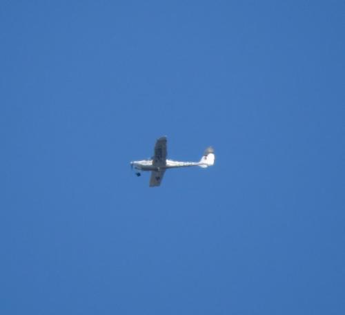 SmallAircraft-D-EXDA-01